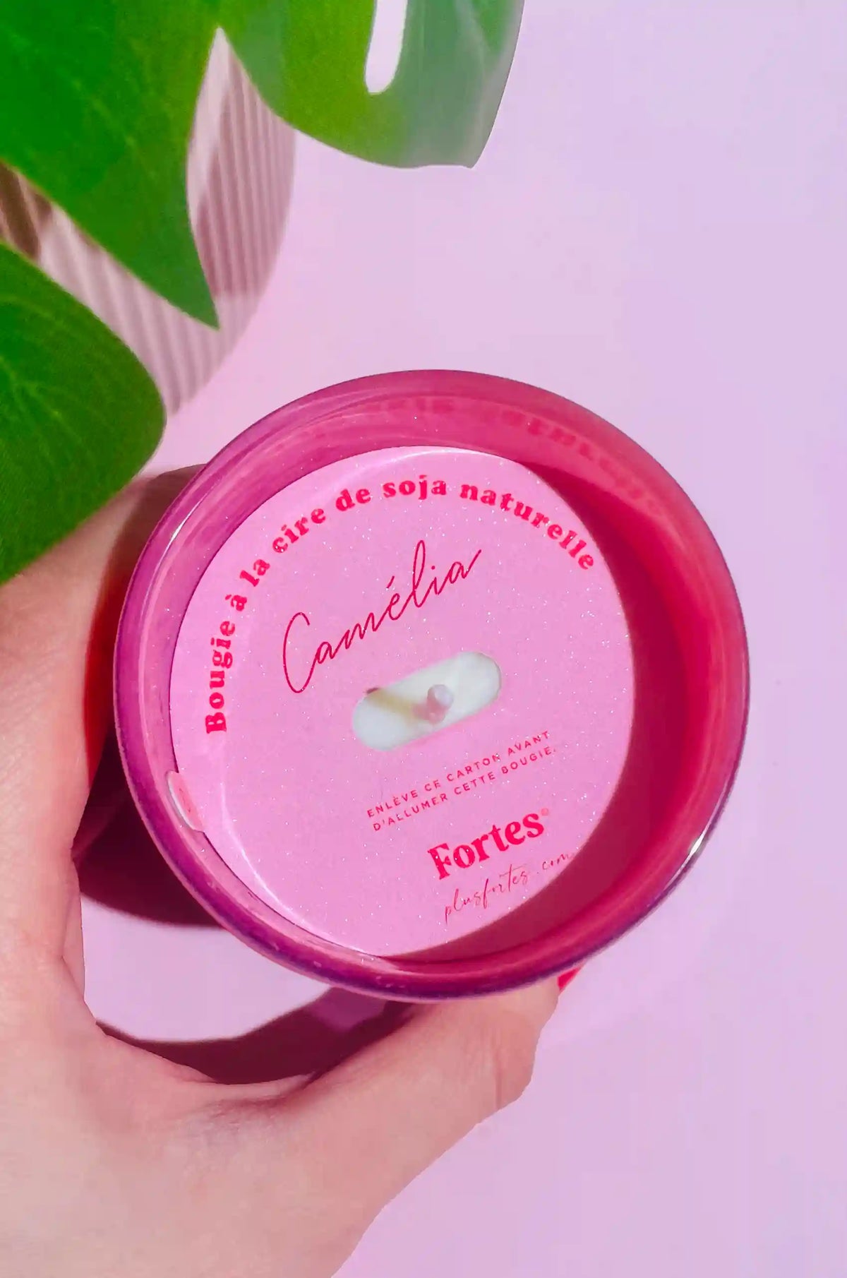 Tu gères meuf - La Bougie Camélia