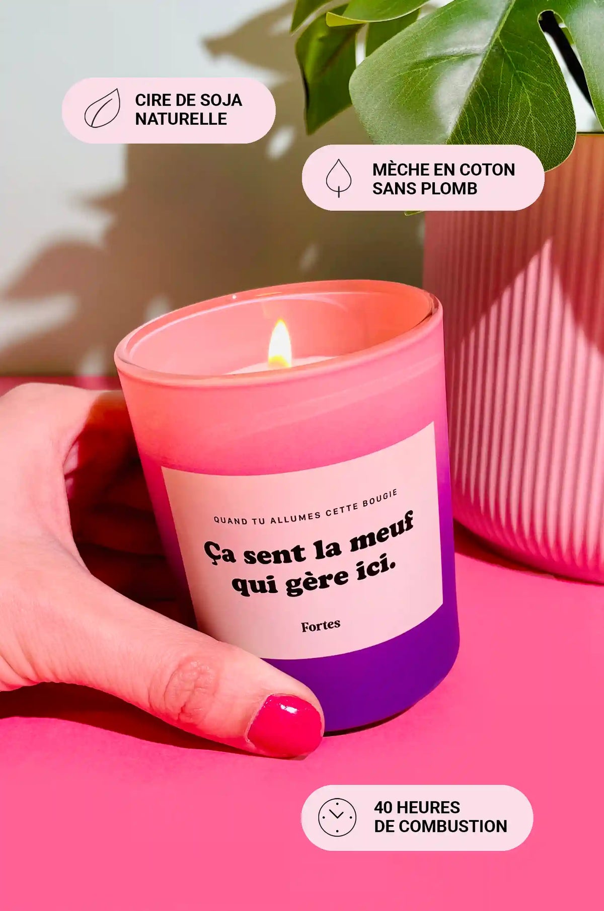 Tu gères meuf - La Bougie Camélia