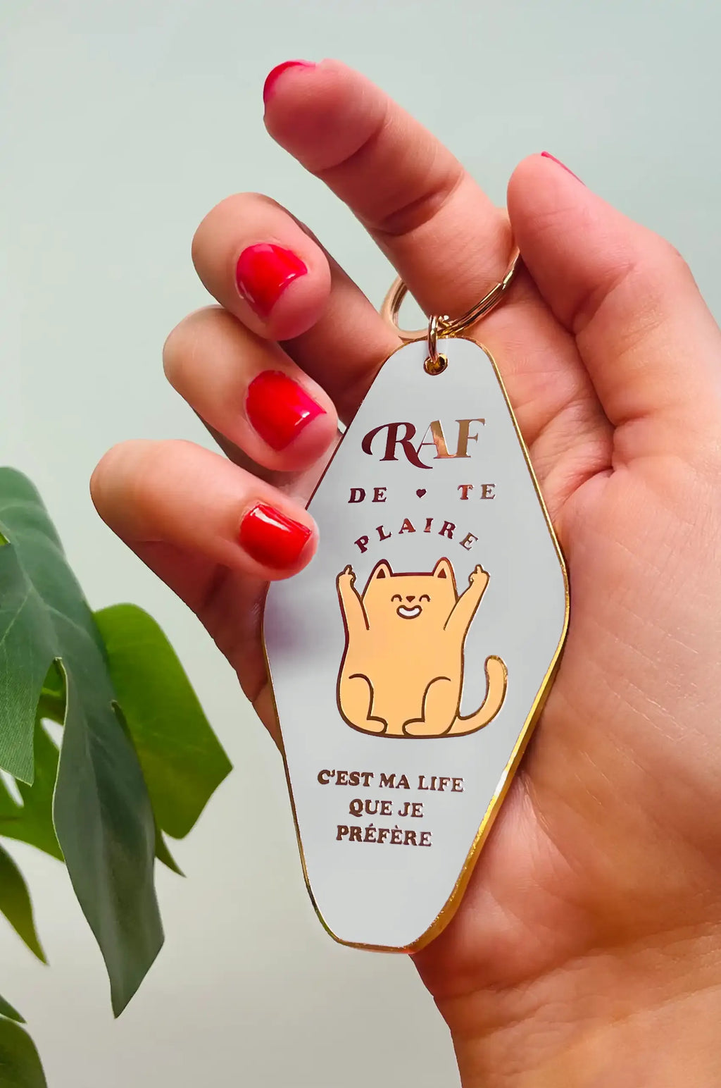 Le Porte-clés Rien à F**** de te plaire
