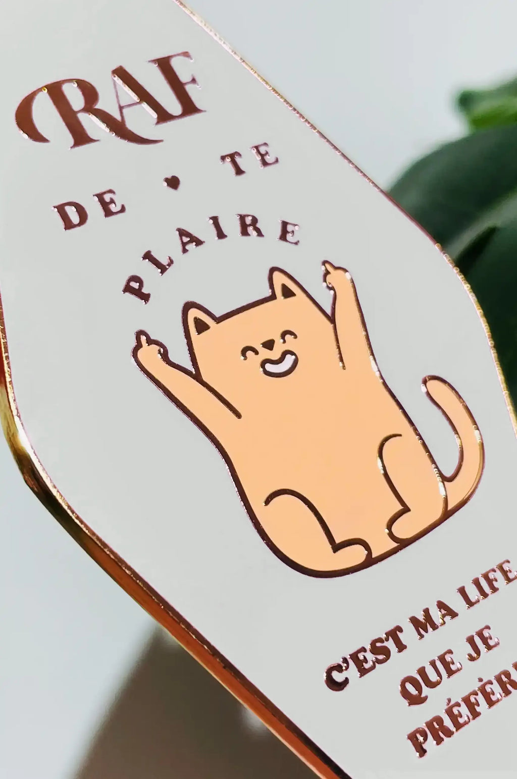 Le Porte-clés Rien à F**** de te plaire