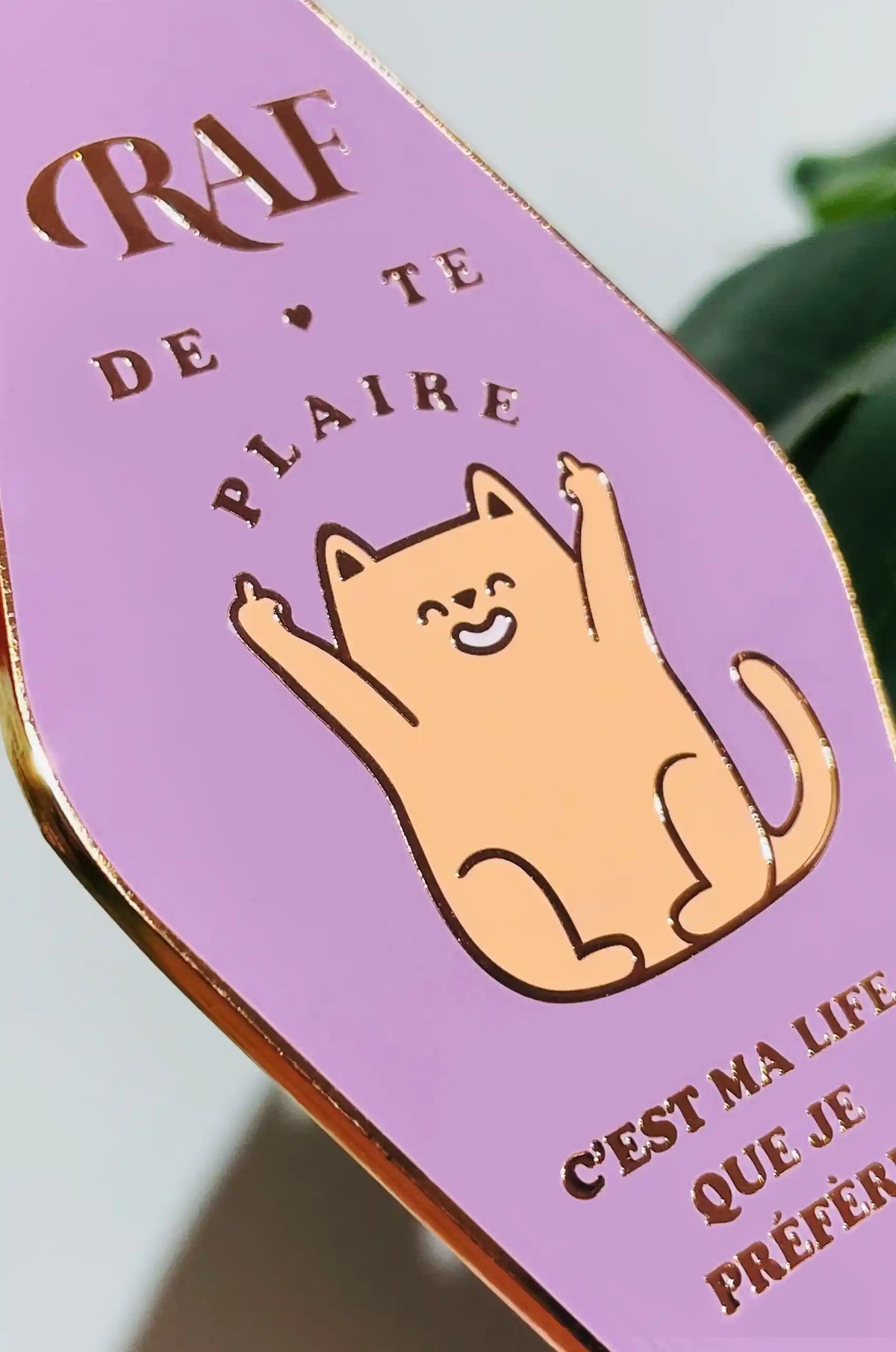 Le Porte-clés Rien à F**** de te plaire