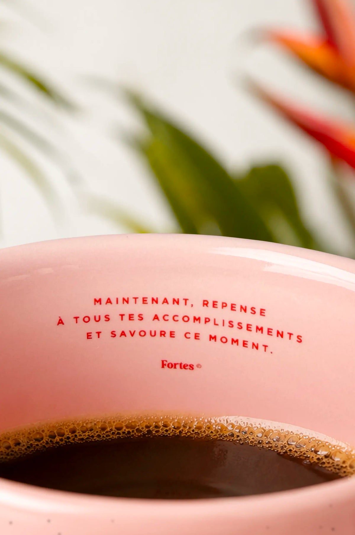 Oh Waw - La Tasse Rose